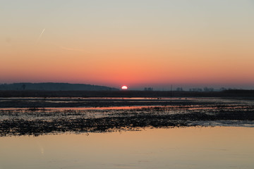 the sun rises red over marshlands and swamps with birds resting on the water and among the reeds