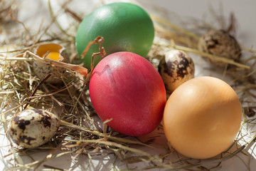 Easter eggs under the spring sun