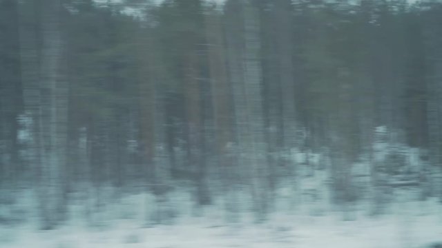 driving plate from window of a trane of winter forest