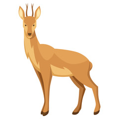 Stylized illustration of deer. Woodland forest animal on white background
