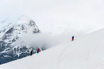 Fotobehang Passengers hiking in Antarctica. © David