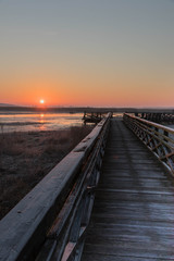 Obraz premium the sun rises red over marshlands and swamps and a wooden bridge with a railing and birds resting on the water and among the reeds