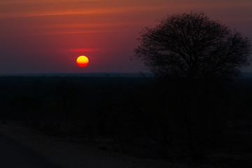 Obraz premium Sunset on a safari in the Kruger National Park