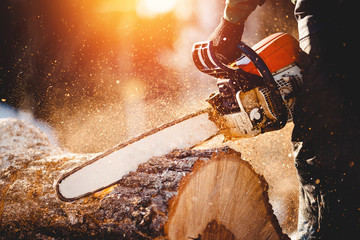 Chainsaw. Close-up of woodcutter sawing chain saw in motion, sawdust fly to sides. Concept is to bring down trees. - obrazy, fototapety, plakaty