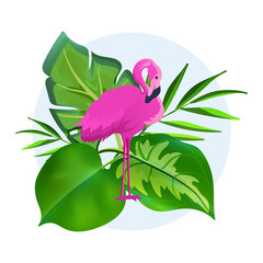 Vector Illustration of a Pink Flamingo