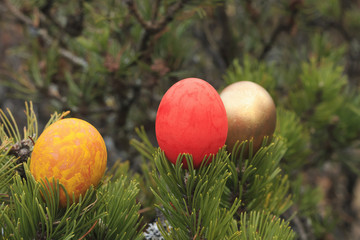Painted eggs in a tree.