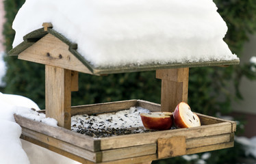 Vogelhaus / Vogelhaus bedeckt mit Schnee und Vogelfutter