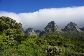 Green Mountains near Capetown Sourthafrica