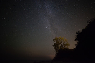 Obraz na płótnie Canvas Milky way over the coast in Denmark over a lit tree