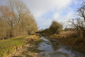 drained canal in winter