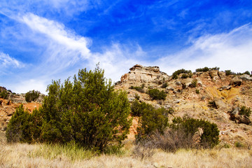 Looking up from bottom aof Palo Duro Canyon.