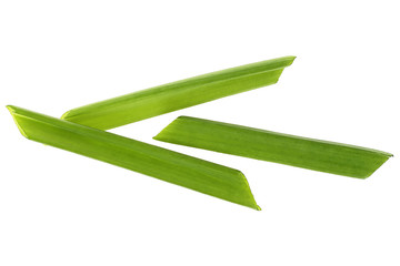 Green onion herb chopped isolated on white background, top view
