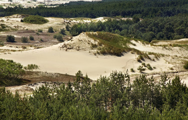 Fototapeta na wymiar Dunes at Curonian Spit. Kaliningrad Oblast. Russia