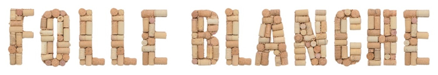 Grape variety Folle Blanche made of wine corks Isolated on white background