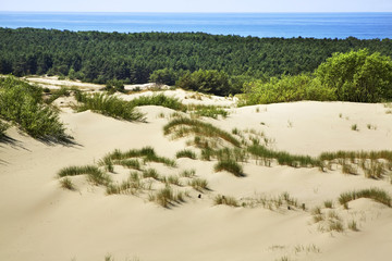 Dunes at Curonian Spit. Kaliningrad Oblast. Russia