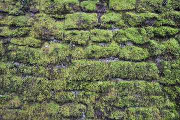 Natursteinmauer mit Moos bewachsen 