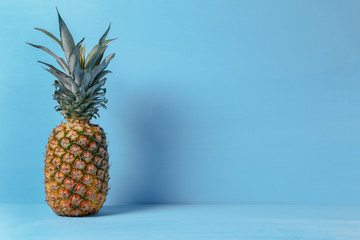 The real pineapple on a blue wooden background, place to place the text
