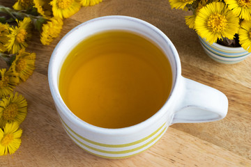 Coltsfoot (Tussilago farfara) tea with fresh coltsfoot flowers
