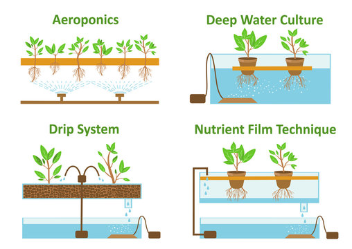 Set Of Aeroponic And Hydroponic Plant Growth Systems.Color Vector Illustration