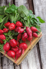 Radish arrangement in wooden box overhead on white wooden table in studio