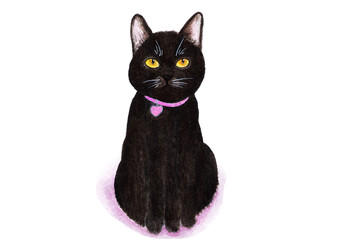 Black cat. Portrait of a cat on a white background. Watercolor illustration.
A black cat in a pink collar sits and looks into the camera. Sweet, nourished face.