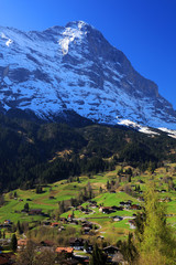 Fototapeta na wymiar Grindel wald village in Berner Oberland, Switzerland, Europe