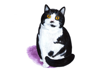 Black and white cat on a white background. Watercolor illustration.
Fluffy and fat black and white cat. Portrait of a cat for printing. Sketch for creating illustrations.