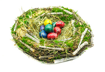 Isoliertes Osternest mit Wachteleiern