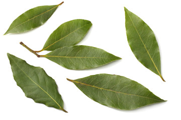 Laurel leaves isolated on a white background top view - obrazy, fototapety, plakaty
