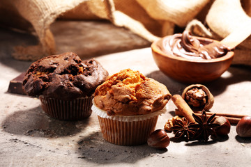 Chocolate muffin and nut muffin, homemade bakery on grey background