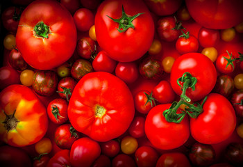 Tomatoes large colorful mix natural look overhead background in studio