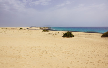 Fototapeta na wymiar Road in sand dunes landscape of Corralejo National Park, Fuerteventura, Canary Islands, Spain