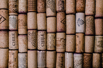 Wine
