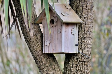 Nichoir pour les mésanges fixé contre un arbre