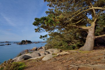 Paysage de mer à Ploumanach en Bretagne