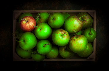 Green organic apples arrangement overhead in wooden box on dark background in studio