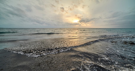Fototapeta premium The show of the sea moved among the algae