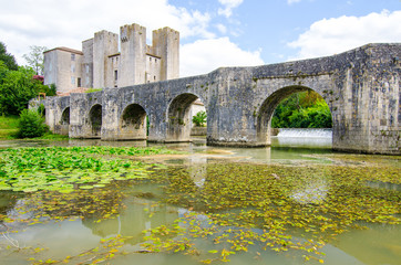 The bridge and the fortified mill in Barbaste