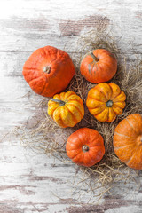 Pumpkins colorful overhead arrangement on straw and white rustic wooden table in studio