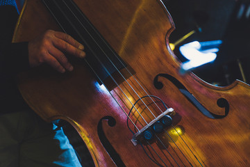 Fototapeta premium live concert: jazz double bass player, detail on the hands that pinch the strings – vintage filtered