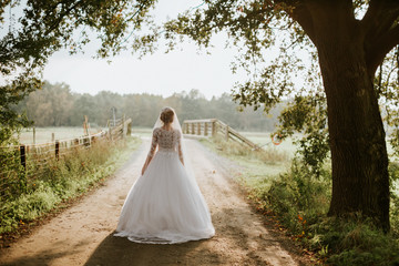 Fototapeta na wymiar Bride in beautiful dress back view