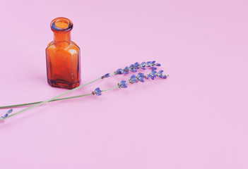 Minimalistic vintage bottle and lavender on a violet purple lilac background. Perfume concept. Vintage pastel colors.