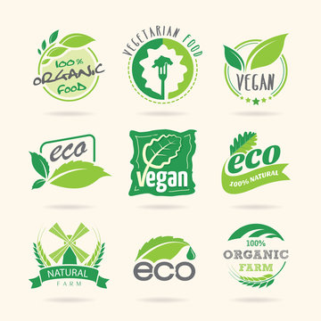 Ecology & vegan, vegetarian icon set