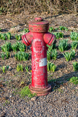 Fototapeta na wymiar Red water hydrant in a park in Jena