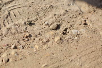 Fototapeta na wymiar the texture of river sand