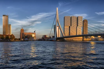 Papier Peint photo autocollant Pont Érasme Travel Concepts, Ideas and Destinations.Picturesque View of Erasmus Bridge in Rotterdan in The Netherlands