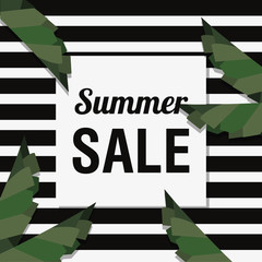 Summer sale design with tropical leaves over striped black and white background, colorful design vector illustration