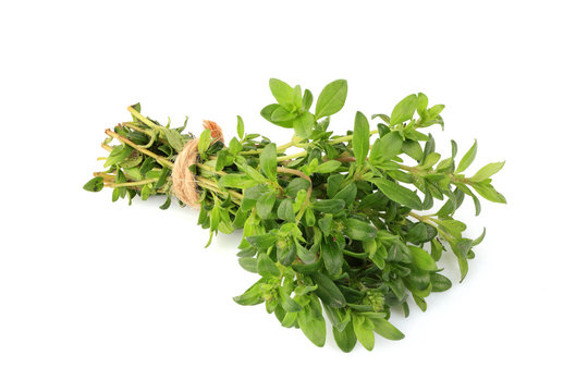 Sprigs of thyme in a bundle isolated.