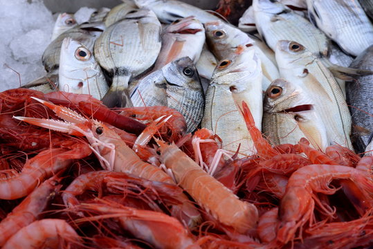 Fish market, mixed exposure of fish
