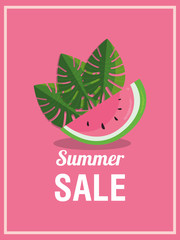 Summer sale design with watermelon and tropical leaves icon over pink background, colorful design vector illustration